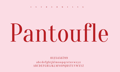 High-Quality Custom Fonts | Stylish, Modern & Classic Typefaces for Designers