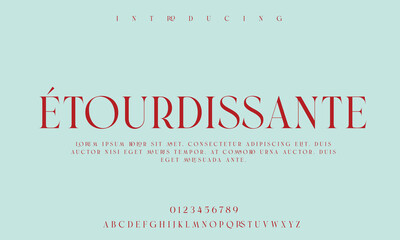 High-Quality Custom Fonts | Stylish, Modern & Classic Typefaces for Designers