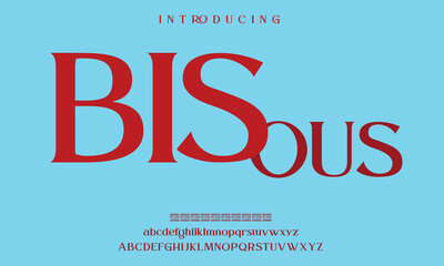 High-Quality Custom Fonts | Stylish, Modern & Classic Typefaces for Designers