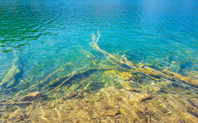 Beauty nature. The tranquil transparent waters of lake in the background. Beautiful nature lake. Landscape Reflection off of a clear lake water surface on a bright sunny day. Calm pond in the forest.