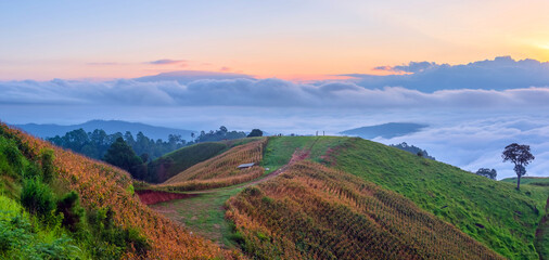 landscape of Chiang Mai