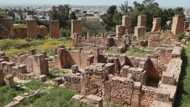 Sun-drenched ruins of Punic Quarter on Byrsa Hill in Carthage with ancient stone foundations and columns surrounded by wildflowers and greenery under bright Tunisian sun