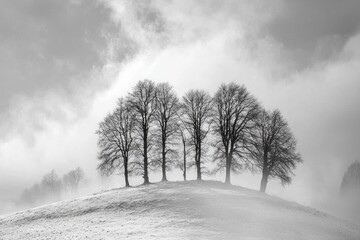 Black-and-white style of trees on a hilltop, with a foggy atmosphere, snow, and a dramatic sky