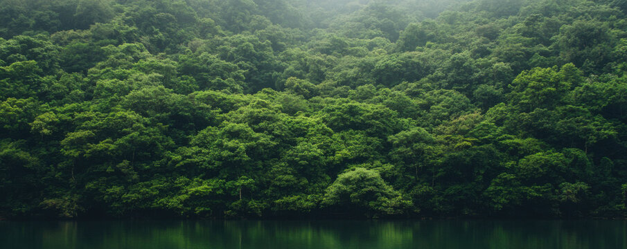 Lush green forest surrounding calm reservoir, creating serene atmosphere. dense foliage reflects beautifully on water surface, enhancing tranquil scene - Powered by Adobe