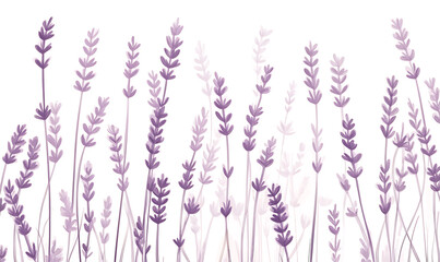 flowers and leaves in pictures illustrator2D