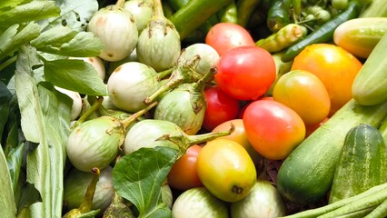 Fresh vegetables for cooking. Vegetables contain dietary fiber that helps cleanse the intestines.