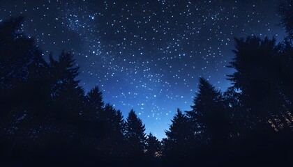 Naklejka premium Night Sky Above Silhouetted Pine Trees In Forest