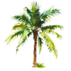 A vibrant watercolor painting depicts a single majestic palm tree against a black background showcasing its lush green foliage and brown trunk.