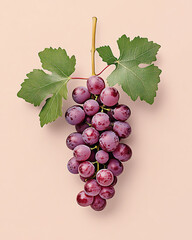 Fototapeta premium Grape are healthy food. And it is a useful fruit.