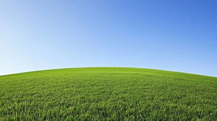 Fototapeta premium Rolling green hill under clear blue sky, panoramic view, nature background, idyllic landscape