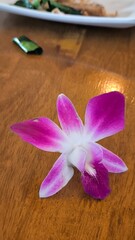 Purple orchid on a wooden table