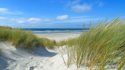 Serene Beach Landscape with Dunes and Ocean Waves