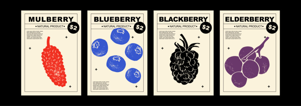 Mulberry, blueberry, blackberry, elderberry. Set of posters of vegetables in a abstract draw design. Label or poster, price tag. Patterns and backgrounds. Perfect for poster, cover, banner.