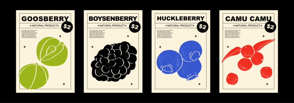 Gooseberry, boysenberry, huckleberry, camu camu. Set of posters of vegetables in a abstract draw design. Label or poster, price tag. Patterns and backgrounds. Perfect for poster, cover, banner.