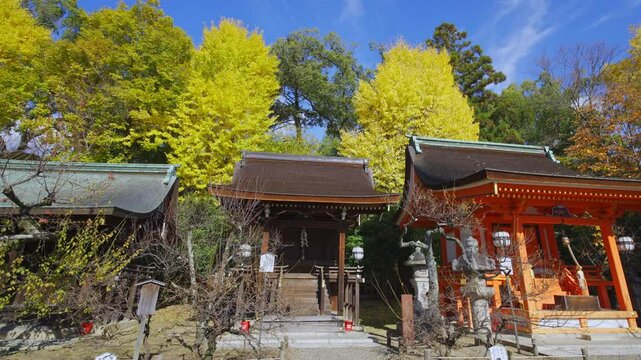 京都　秋の北野天満宮　摂社と末社が建ち並ぶ境内を見渡す