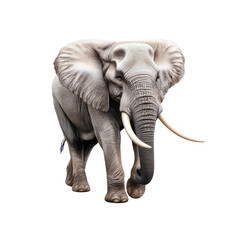 Obraz premium Majestic African Elephant in Profile, Digitally Rendered