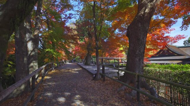 京都　北野天満宮の本殿と紅葉