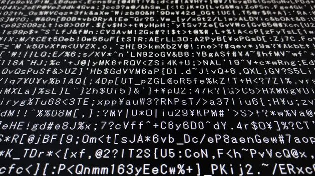 コンピュータ空間のランダムな文字列・さまざまな文字を含むデータベース・エンコードされたプログラム内のデータセット・数学的計算・大規模言語モデル・機械翻訳・英数字記号・横長・ビデオ