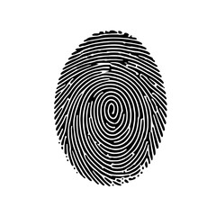 Fingerprint Identity: A detailed close-up of a fingerprint, showcasing its unique whorls and ridges, symbolizing individuality, security, and personal identification. 