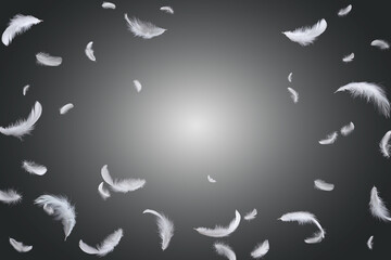Abstract White Bird Feathers Floating in The Dark. Fluffy Downy, Peace. Feather on Black.
