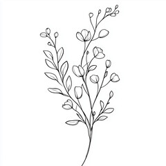 Floral branch and minimalist flowers for logo or tattoo. Hand drawn line wedding herb, elegant leaves