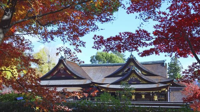 京都　北野天満宮の本殿と紅葉