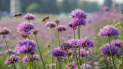 Obraz premium Purple flowers and bees buzzing around a colorful garden, nature's beauty, busy activity, garden
