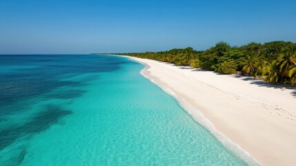 A minimalist aerial perspective of a tropical beach with a wide expanse of white sand, crystal-clear waters, and a few scattered palm trees. 