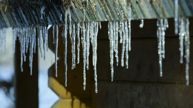Row of icicles hanging from cabin eaves while slowly melting and dripping. Slow motion. Closeup.