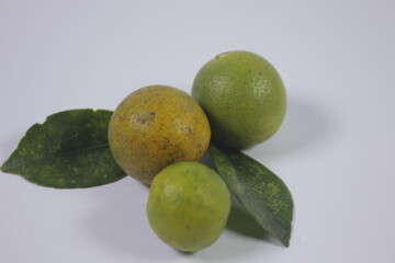 Fresh looking oranges ready to be made into a drink
