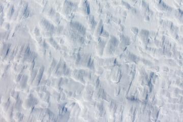 Fototapeta premium The snow is white and the ground is covered in it