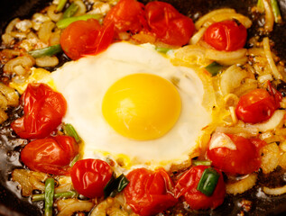 A fried egg with tomatoes and onions on top