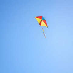 kite in the sky