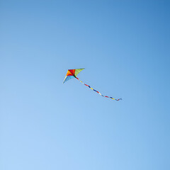 kite in the sky