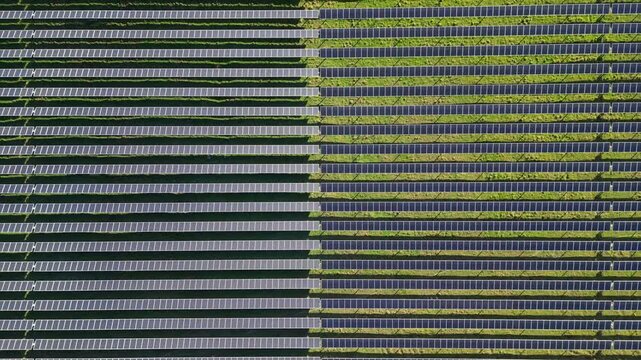 Panoramic Aerial View of a Solar Farm in Le Pouzin, Ardeche, with Sunlight Illuminating the Panels, Featuring Vibrant Green Grass and Unique Patterns Created by Panel Inclination.