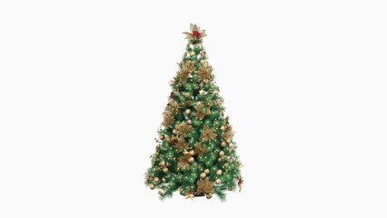 Christmas tree Isolated on white background. Various colours