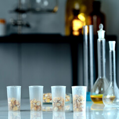 Laboratory studies of corn seeds. Studies on the analysis of agricultural grains and seeds in laboratory conditions.