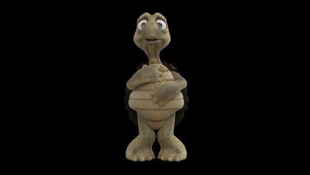 Toon Tortoise Isolated on white