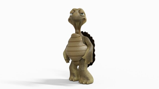 Toon Tortoise Isolated on white
