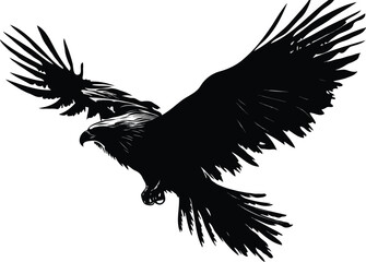 eagle vector illustration