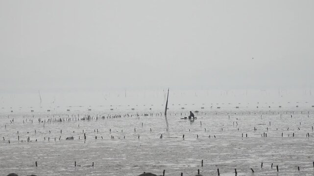 남해 바다갯벌 풍경