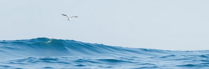 Naklejka premium Soft blue ocean wave with seagull flying overhead, green, blue, flight