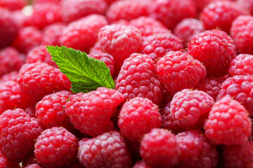 Fresh ripe raspberry as background