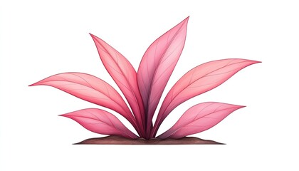 Vibrant pink plant with elongated leaves, showcasing natural beauty against a white background