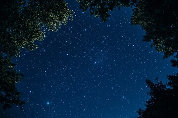 Starry Night Sky Framed by Trees, Peaceful Nature Scene, Forest Background