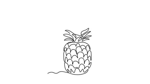 Abstract pineapple fruit and slice, ananas, Self drawing animation one continuous line draw, logo