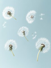 A close-up of delicate dandelion seeds against a soft blue background, symbolizing freedom and the wind carrying the seeds away to new places.