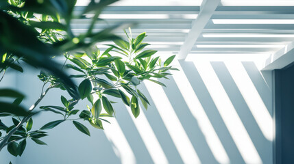 Obraz premium A tranquil courtyard bathed in sunlight, showcasing a smooth white wall with intricate linear shadows from a slatted roof structure