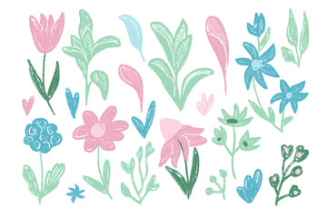 Flowers and leaves crayon drawn set. Spring tulip, daisy and marguerite doodle. Pastel colors childish floral stencil shape. Vector naive pencil illustration isolated on white background.