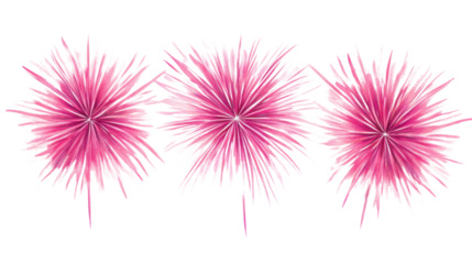 Pink fireworks exploding with transparent background
